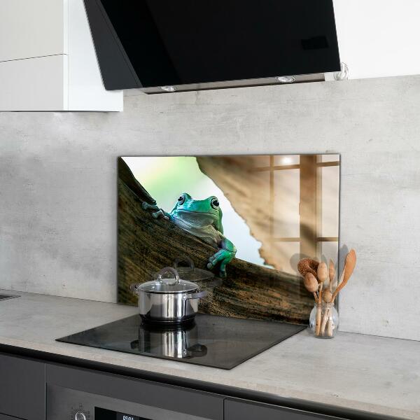 Kitchen wall panels Curious frog on a leaf