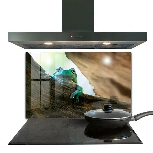 Kitchen wall panels Curious frog on a leaf