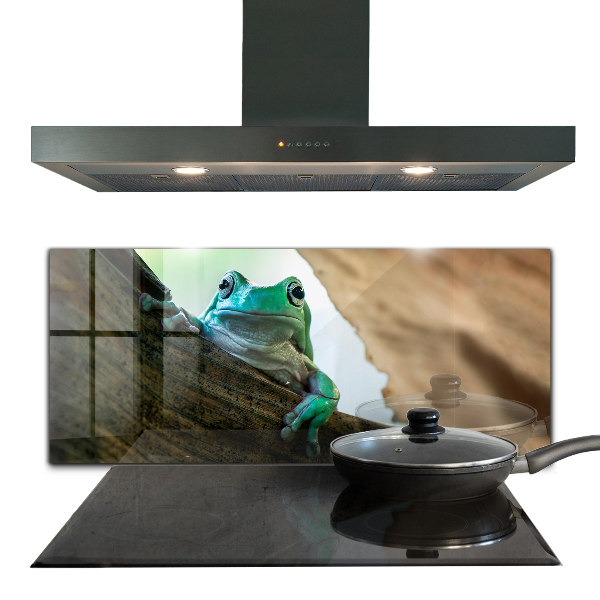 Kitchen wall panels Curious frog on a leaf
