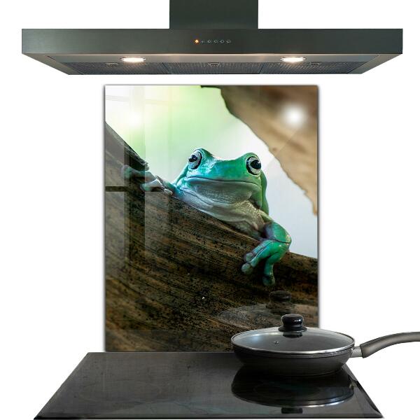 Kitchen wall panels Curious frog on a leaf