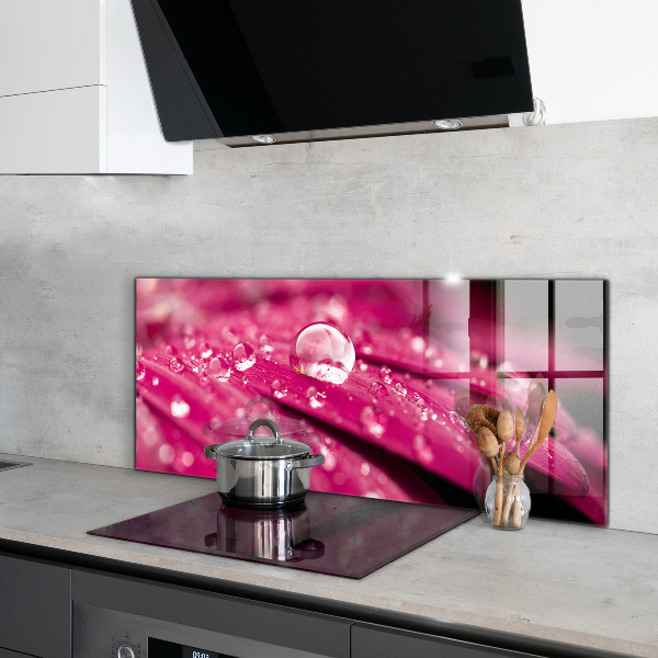 Kitchen splashback Pink plant flower