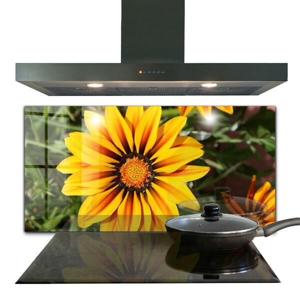 Kitchen splashback Yellow flower in the meadow