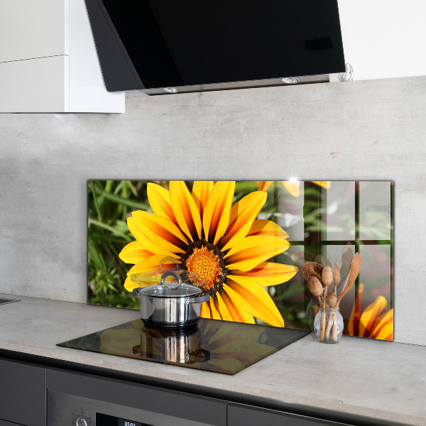 Kitchen splashback Yellow flower in the meadow