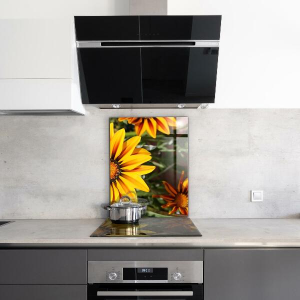 Kitchen splashback Yellow flower in the meadow