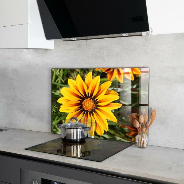 Kitchen splashback Yellow flower in the meadow