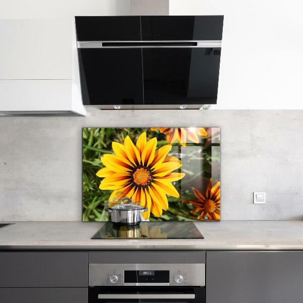 Kitchen splashback Yellow flower in the meadow