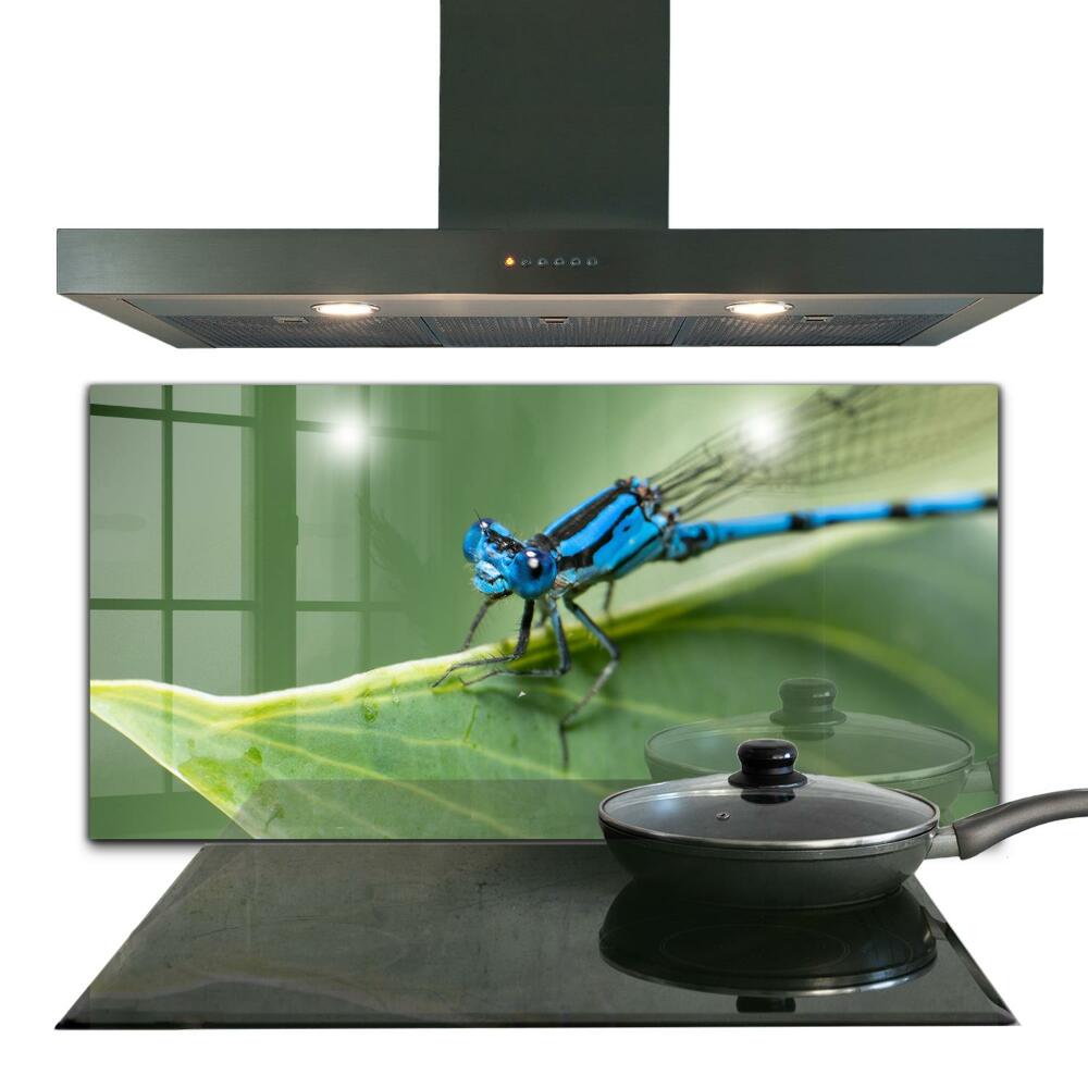 Kitchen wall panels Dragonfly on leaf