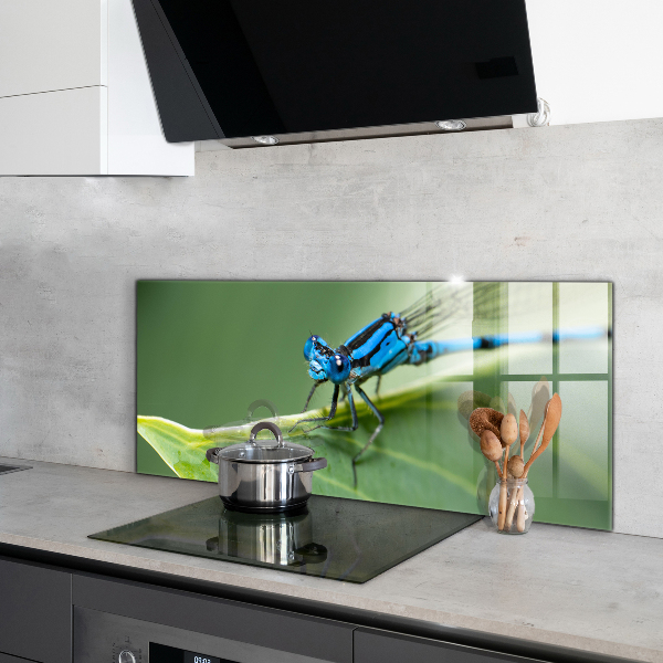 Kitchen wall panels Dragonfly on leaf