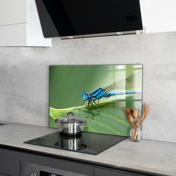 Kitchen wall panels Dragonfly on leaf