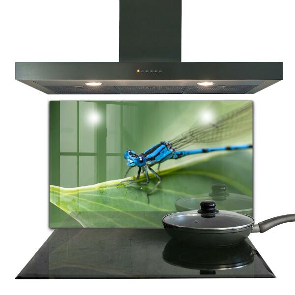 Kitchen wall panels Dragonfly on leaf