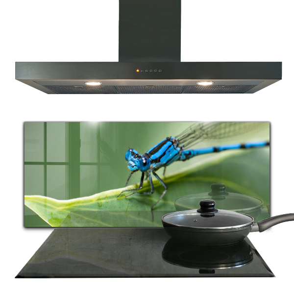 Kitchen wall panels Dragonfly on leaf