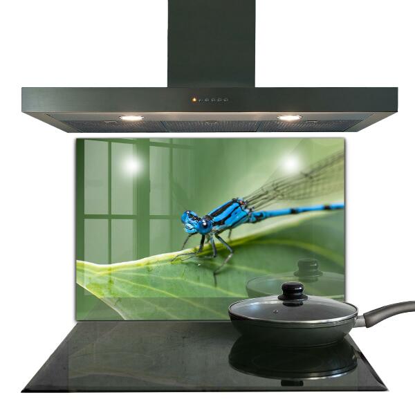 Kitchen wall panels Dragonfly on leaf
