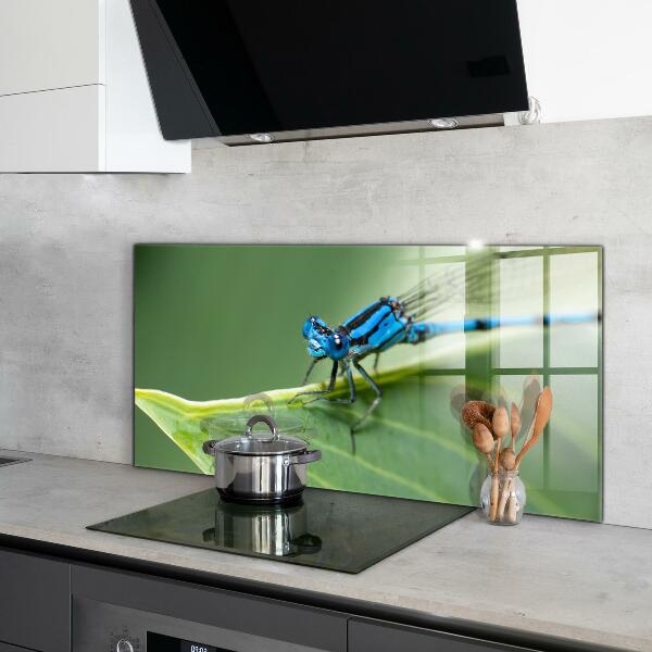 Kitchen wall panels Dragonfly on leaf