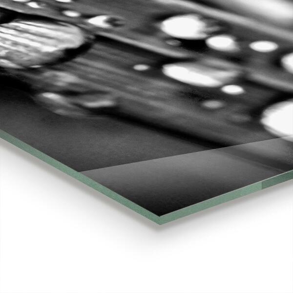 Kitchen glass panel Leaf rosa black and white