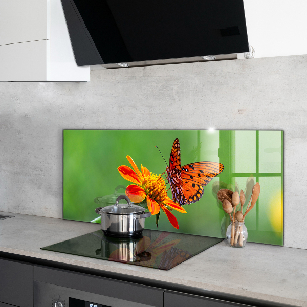 Kitchen wall panels Butterfly on a summer flower