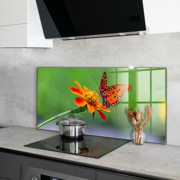 Kitchen wall panels Butterfly on a summer flower