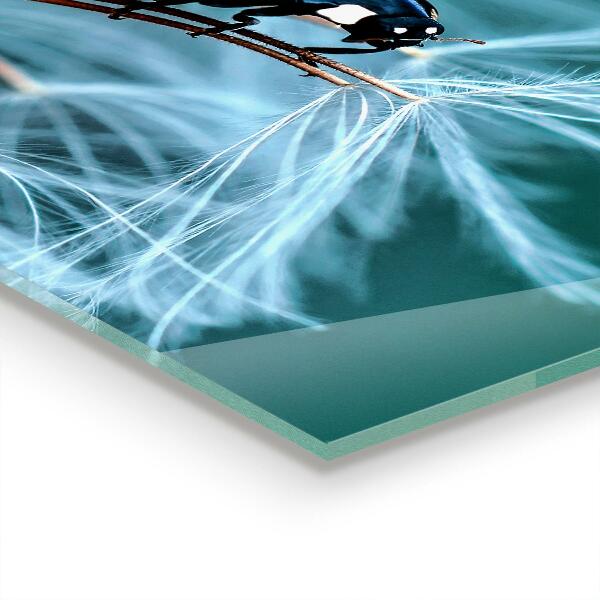 Kitchen wall panels Ladybug red beetle