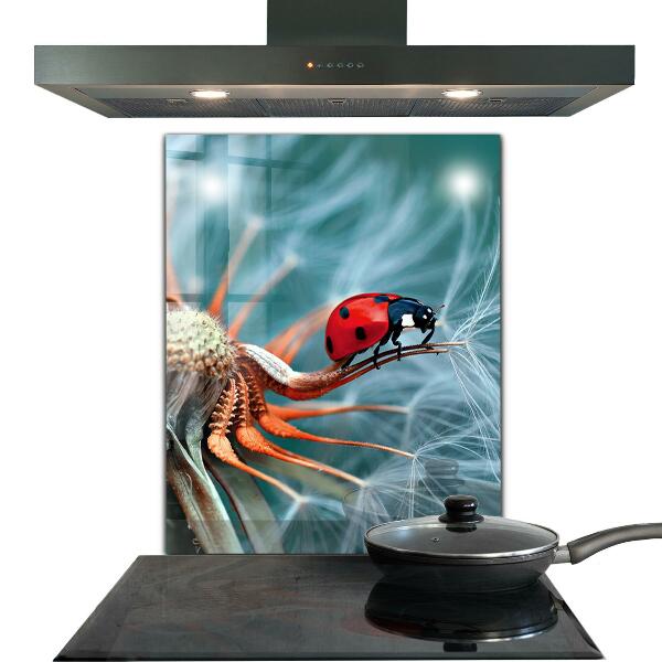Kitchen wall panels Ladybug red beetle