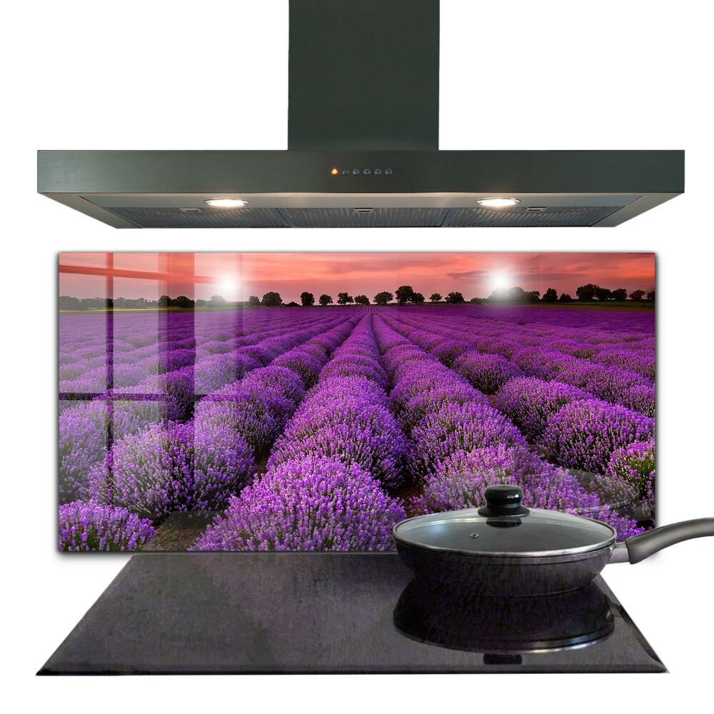 Kitchen glass panel Lavender field landscape