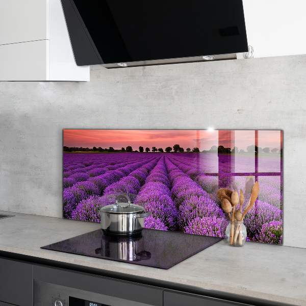Kitchen glass panel Lavender field landscape