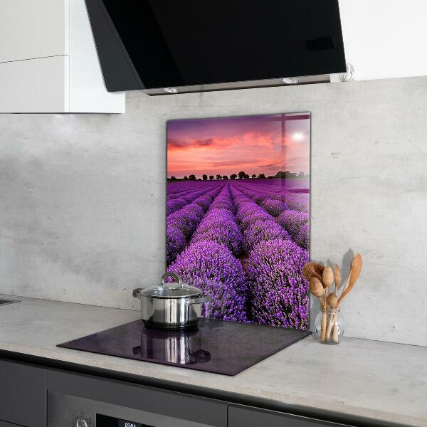 Kitchen glass panel Lavender field landscape