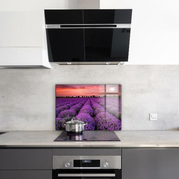 Kitchen glass panel Lavender field landscape
