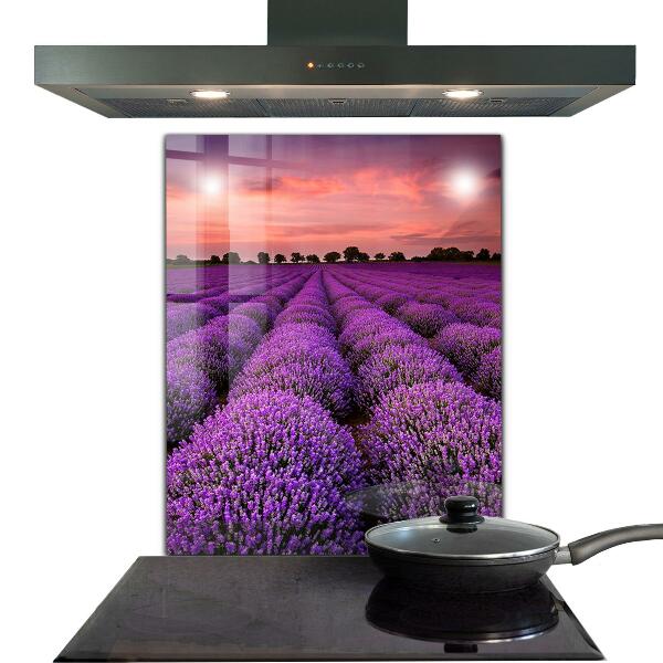 Kitchen glass panel Lavender field landscape