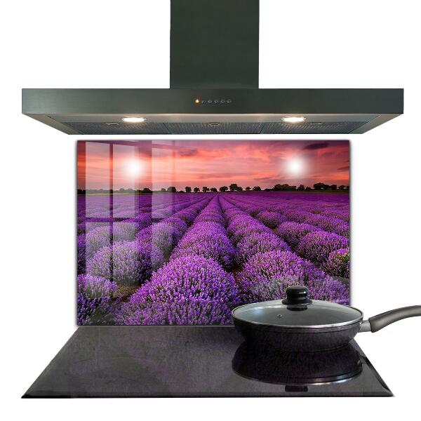 Kitchen glass panel Lavender field landscape