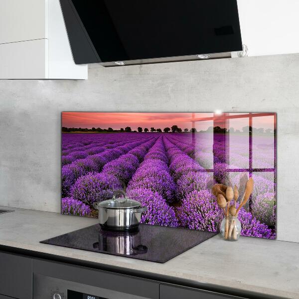 Kitchen glass panel Lavender field landscape