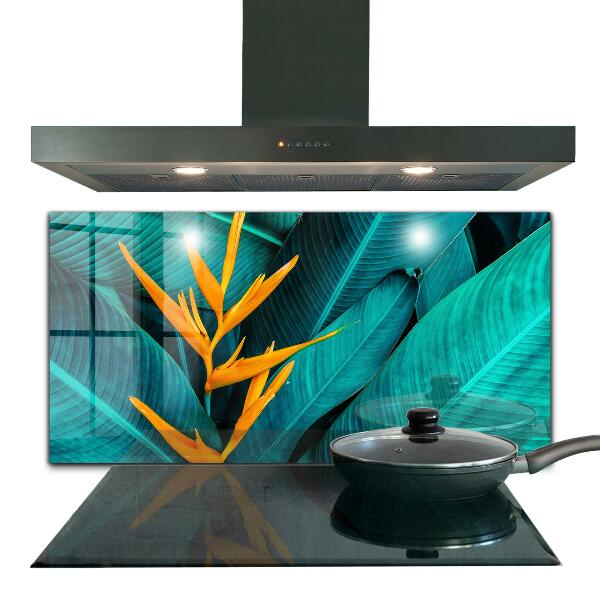 Kitchen glass panel Tropical exotic flower