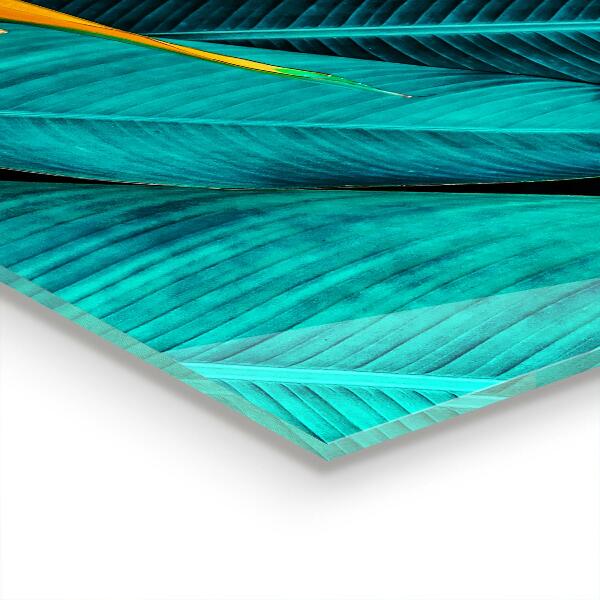 Kitchen glass panel Tropical exotic flower