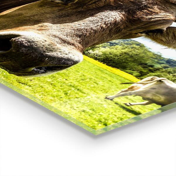 Kitchen wall panels Rural climate krowa pole