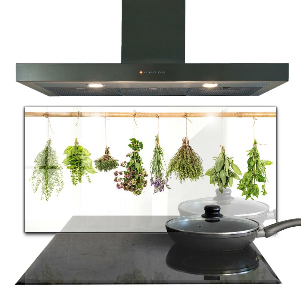 Kitchen wall panels Dried herbs power of nature