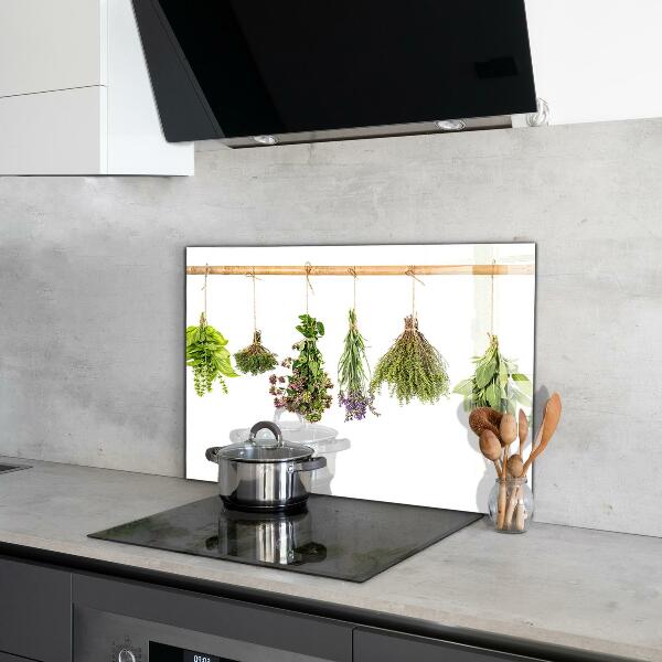 Kitchen wall panels Dried herbs power of nature