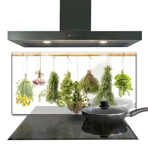 Kitchen wall panels Dried herbs herbal medicine