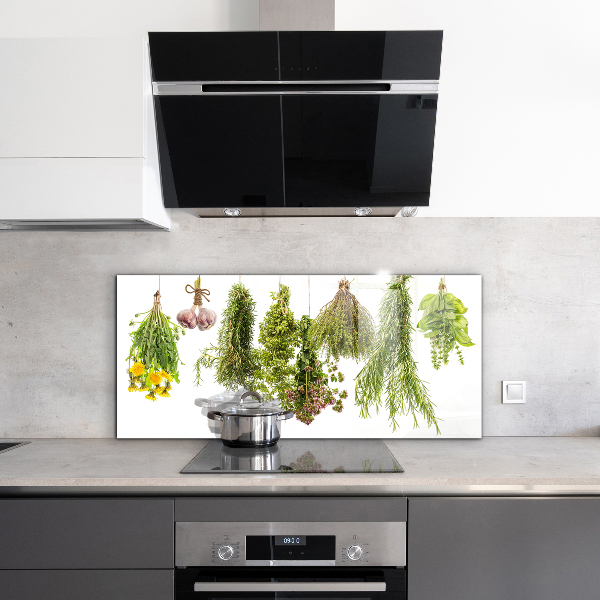 Kitchen wall panels Dried herbs herbal medicine