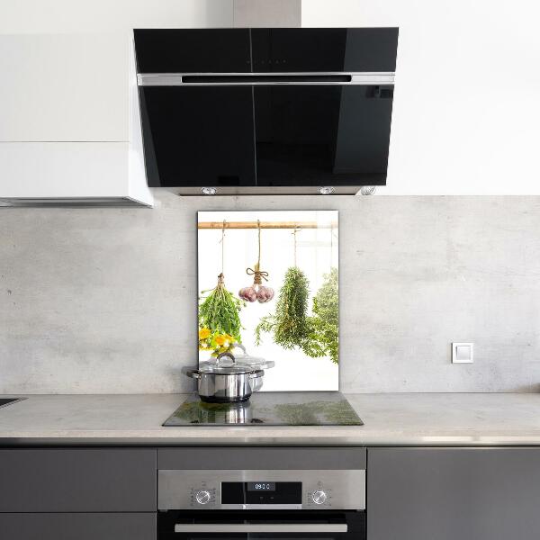 Kitchen wall panels Dried herbs herbal medicine