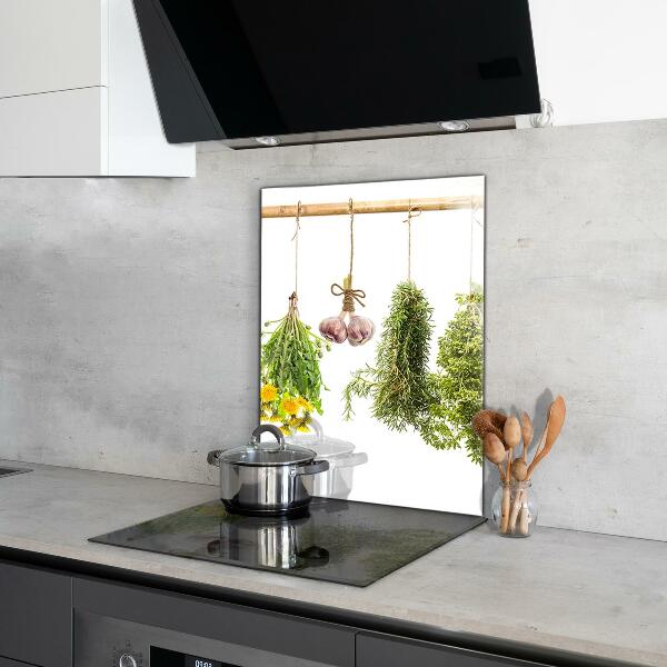 Kitchen wall panels Dried herbs herbal medicine