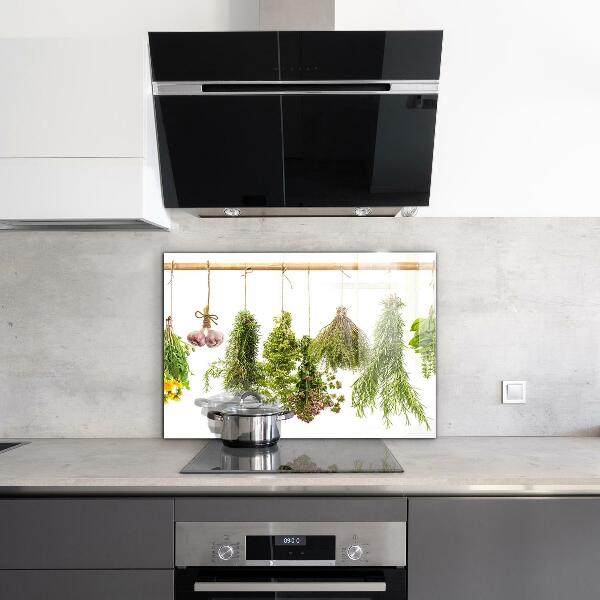 Kitchen wall panels Dried herbs herbal medicine