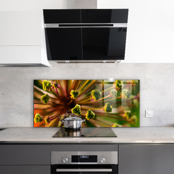 Kitchen glass panel Flower macro photography