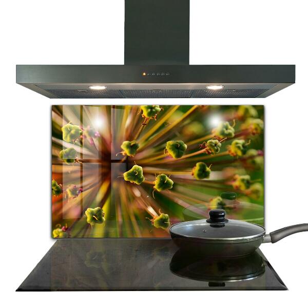 Kitchen glass panel Flower macro photography