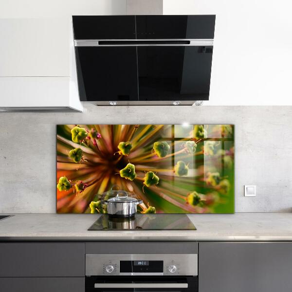 Kitchen glass panel Flower macro photography