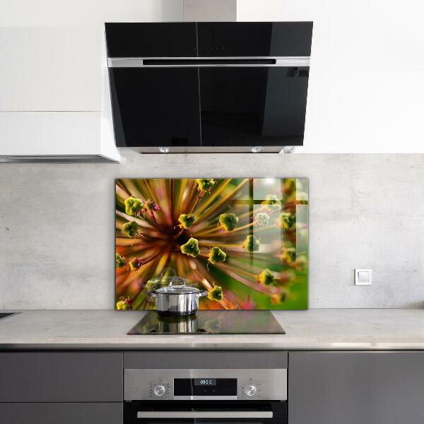 Kitchen glass panel Flower macro photography