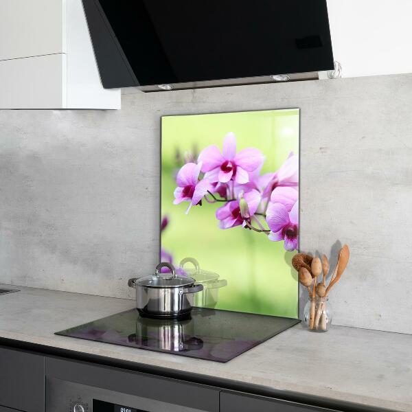Kitchen glass panel Purple orchid