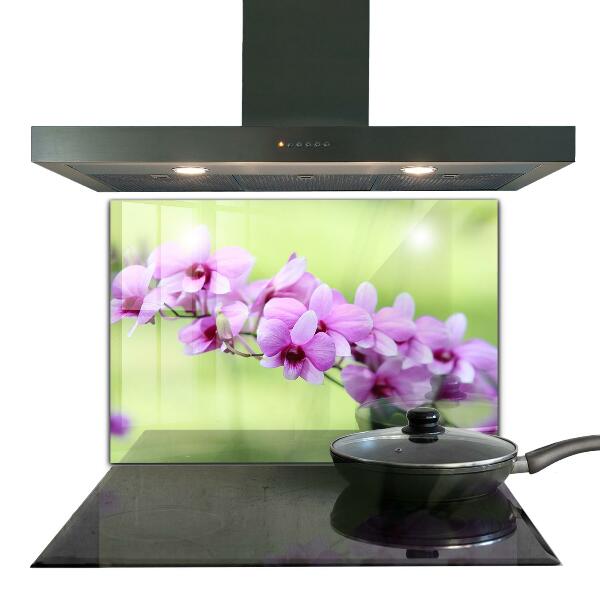 Kitchen glass panel Purple orchid