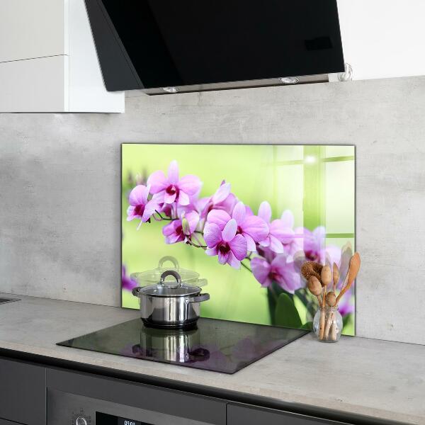 Kitchen glass panel Purple orchid