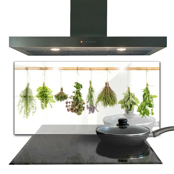 Kitchen wall panels Dried herbs healthy diet