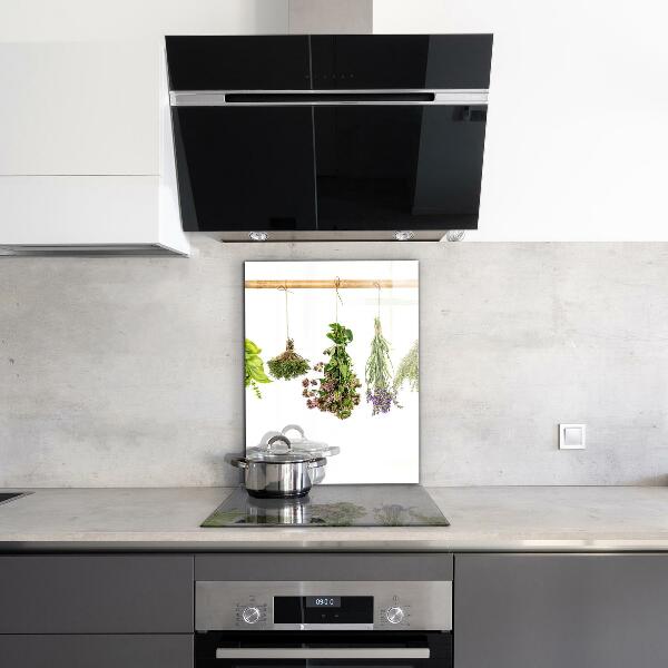 Kitchen wall panels Dried herbs healthy diet