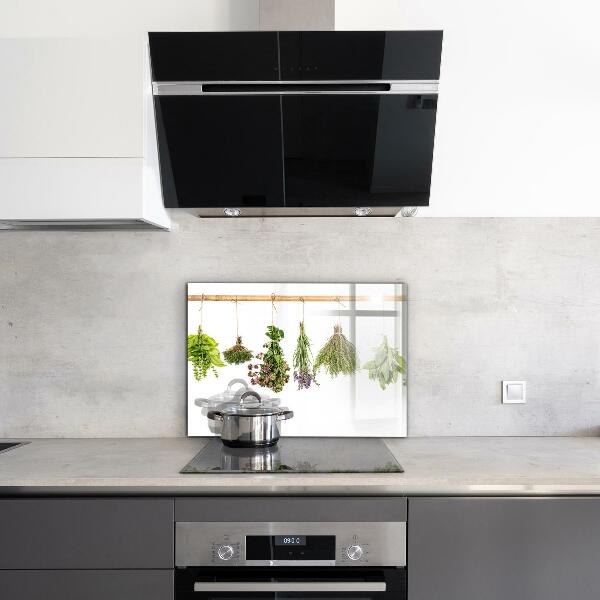 Kitchen wall panels Dried herbs healthy diet