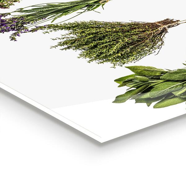 Kitchen wall panels Dried herbs healthy diet